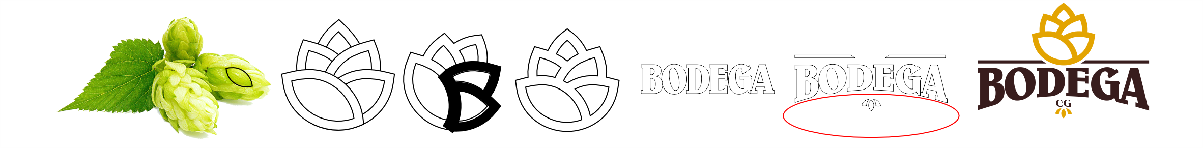 Processo da Bodega CG: flor do lúpulo, estudos do símbolo e logo final em marrom e dourado